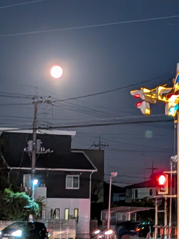 めっちゃ綺麗な…♡♡