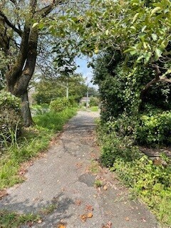 匂わせブログ