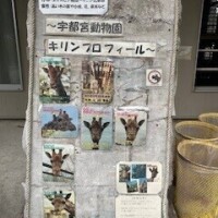 西(ﾆｼ)