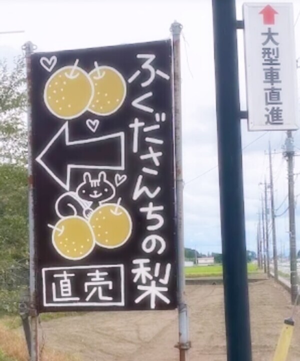 オススメ🍀