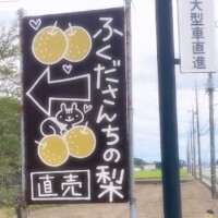 柚月（ﾕﾂﾞｷ）