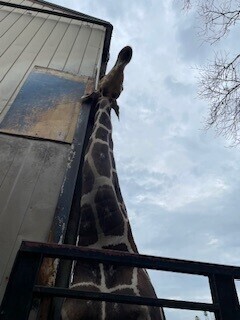 しつこいって言われそう