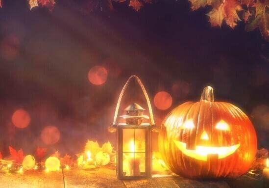 待機戻りました🍵