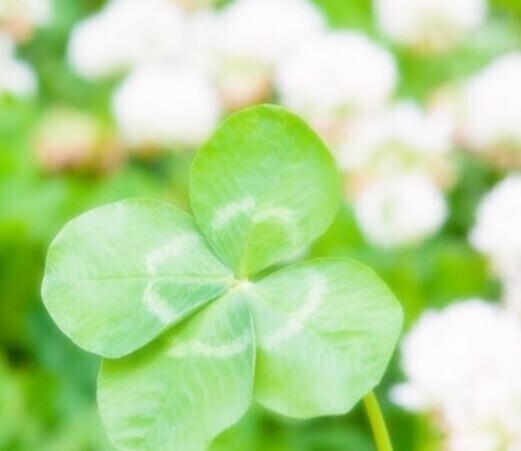 満員御礼♡感謝です🍀