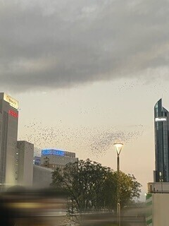 ちょっとひきました