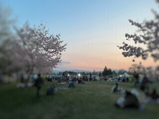 明日にはもうそこには