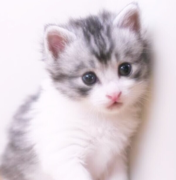 21日(火)11時30分～ですが、、、