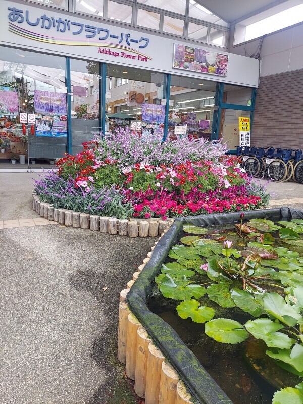 行きました(о´∀`о)