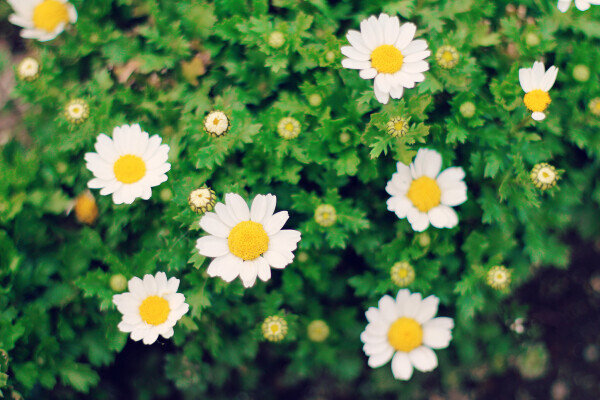 ご予約ありがとうございます🥰🈳19:50頃(残り1枠)