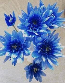 31(金)事前予約ありがとうございます😘次回17:10頃〜