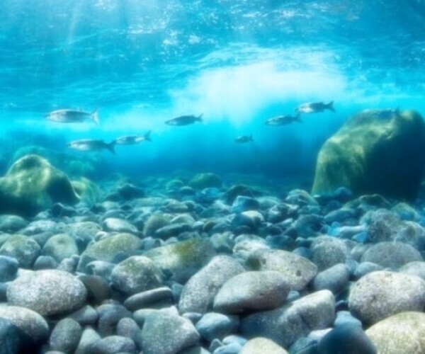 残り1枠16時45分頃～😘