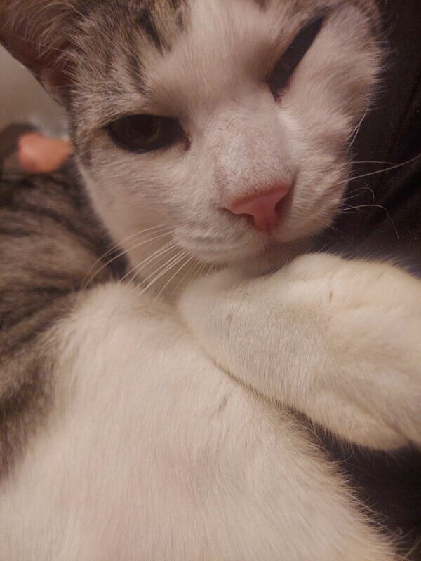 こんば(о´∀`о)