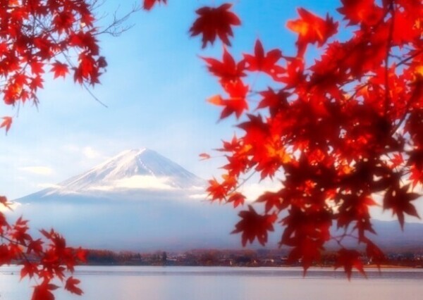 今日出勤します🎶明日(金)16時上がりに変更です🙇‍♀️