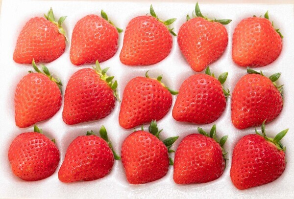 11:30〜1枠限定☺️