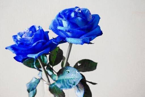 ご予約ありがとうございます☺️満員御礼🙇🏻‍♀️