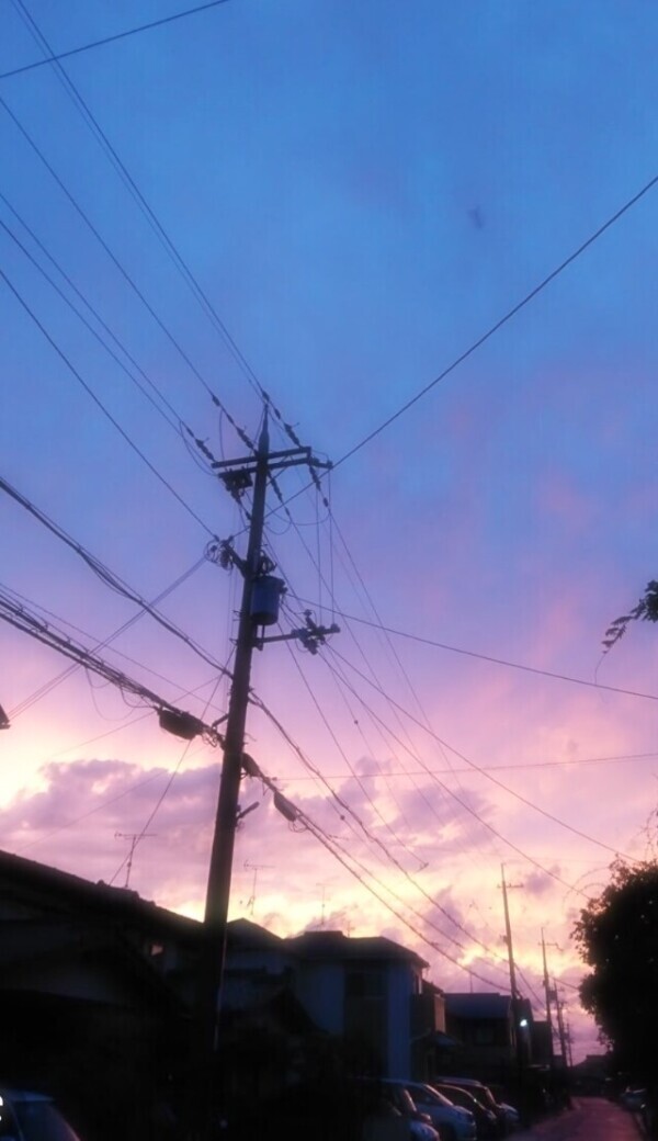 12月1日(月)～7日(日)の予定💋