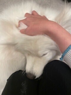 次回出勤のお知らせ