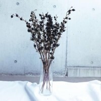 平沢（ﾋﾗｻﾜ）