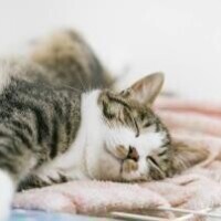 優木（ﾕｳｷ）