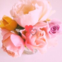 真白（ﾏｼﾛ）