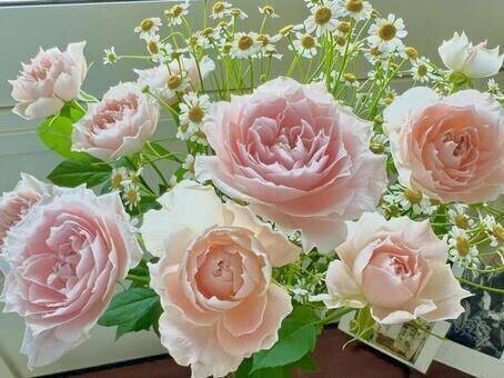 ご予約ありがとうございます☺️🈳12:00〜13:00、16:40頃〜17:00