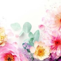 13:00〜22:00受🐤⸒⸒ご予約受付中🩷