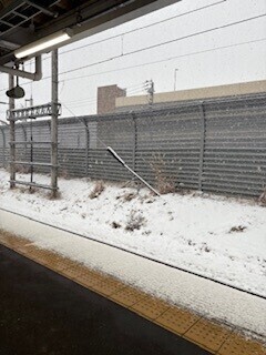 聞いてないよー