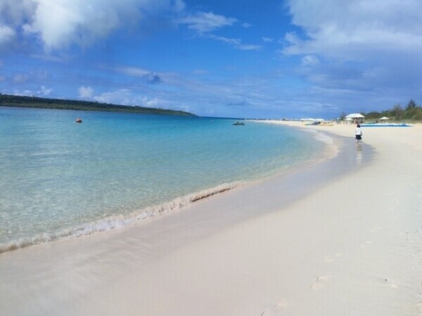 今すぐ空いてます(    'ω'∩)