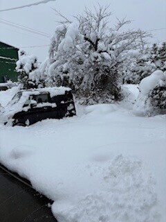 今年もありがとうございました