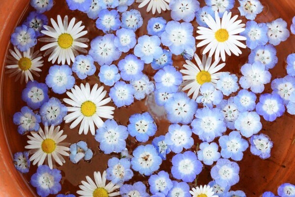 ご予約ありがとうございます😊受付終了です🙇🏻‍♀️