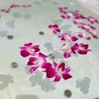 優木（ﾕｳｷ）