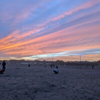 柚月（ﾕﾂﾞｷ）