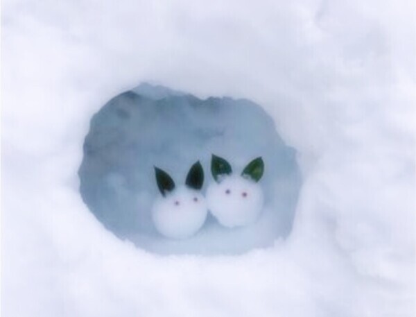 おはようございます☀️⸝‪⸝⸝‪‪‪♡