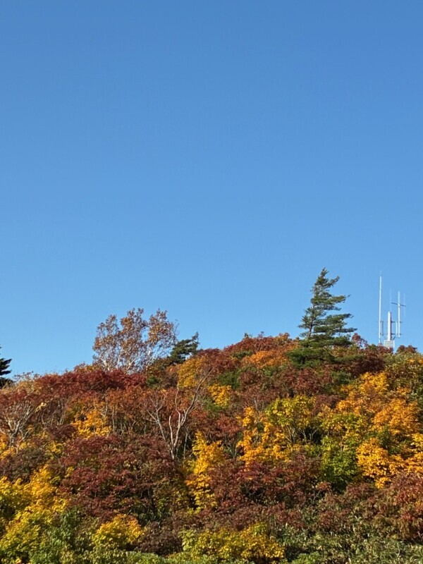 ありがとうございました❤️❤️