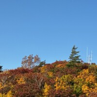 麻宮(ｱｻﾐﾔ)