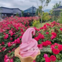 恵（ﾒｸﾞﾐ）