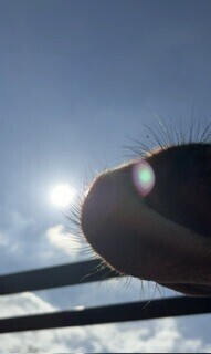 アイモカワラズ