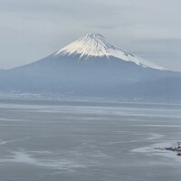 優木（ﾕｳｷ）