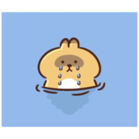 恵（ﾒｸﾞﾐ）