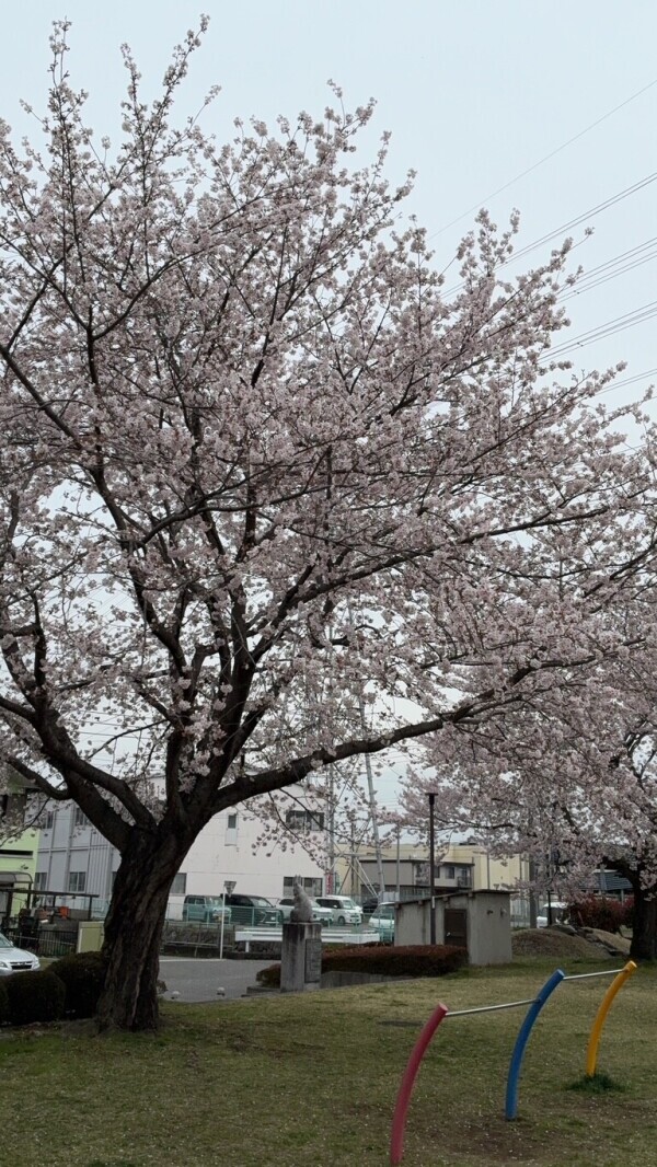ありがとうございました💖💖