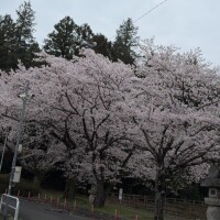 麻宮(ｱｻﾐﾔ)