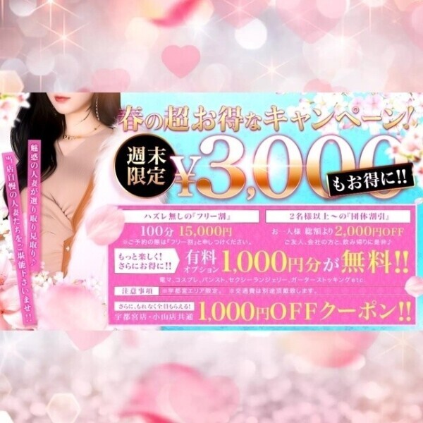 ✨超お得なキャンペーン中✨