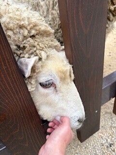 みんなGWは動物園に行ってみてね
