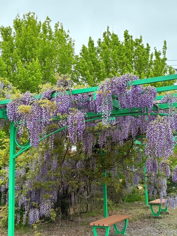 ありがとうございました❤️❤️