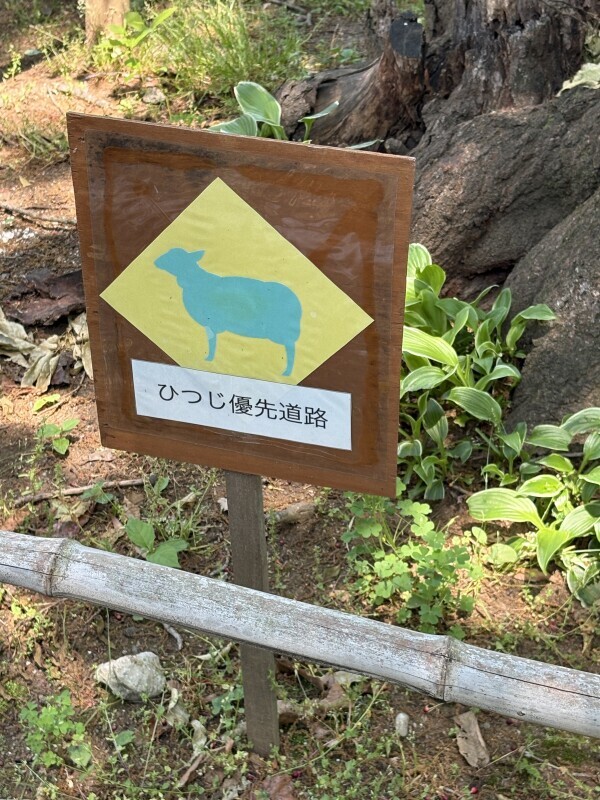 出勤のお知らせ