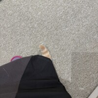 西(ﾆｼ)
