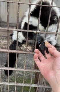 朝から晩までありがとうー！