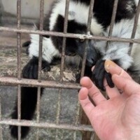 西(ﾆｼ)