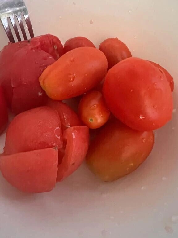 トマト🍅