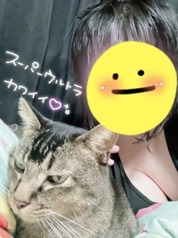 かっ……